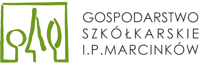 Asilo nido di Isabela e Pavel Martsinkow